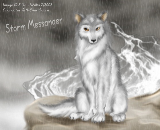 Stormy Messanger