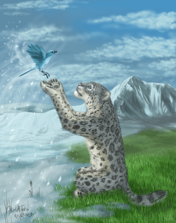 Zima přichází (Sněžný leopard a pták Ledovák)
