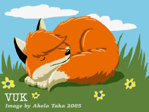 Vuk The Little Fox Sleeping