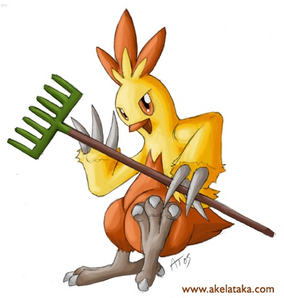 Combusken With a Rake