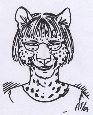 Leopard