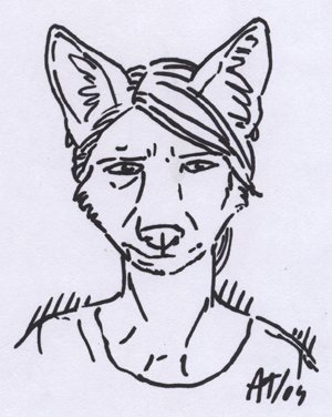 Coyote