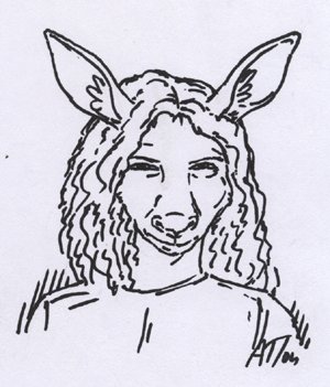 Kangaroo