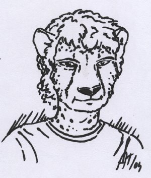 Cheetah