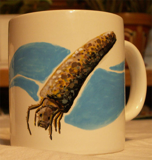 Caddisfly Larvae Cup