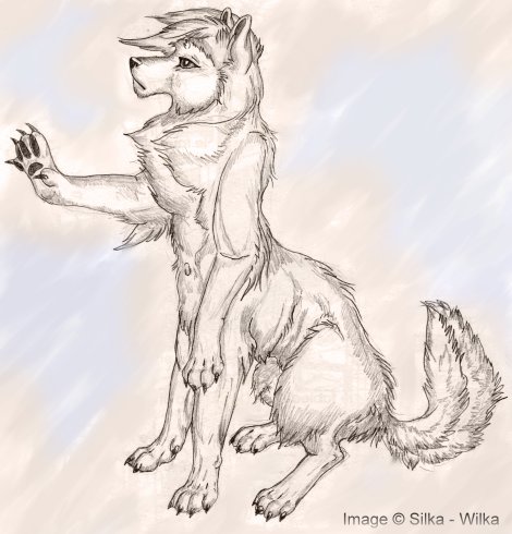 A Wolftaur