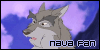 Nava The Wolf Shaman - Balto II